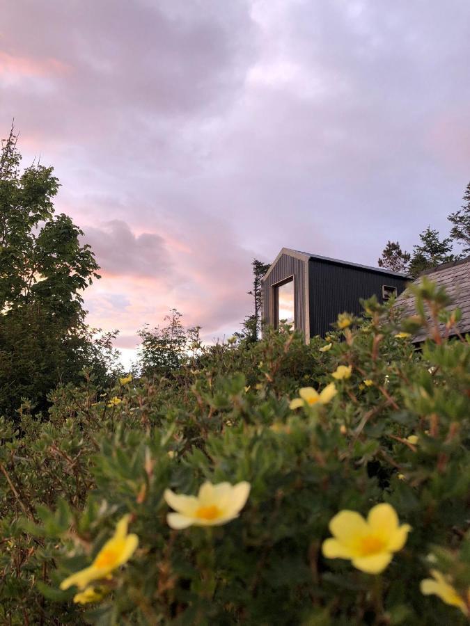 Tiny Home In Isle Of Skye-Pet Friendly Elgol Exterior photo