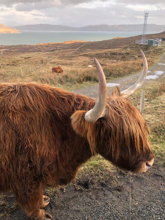 Tiny Home In Isle Of Skye-Pet Friendly Elgol Exterior photo